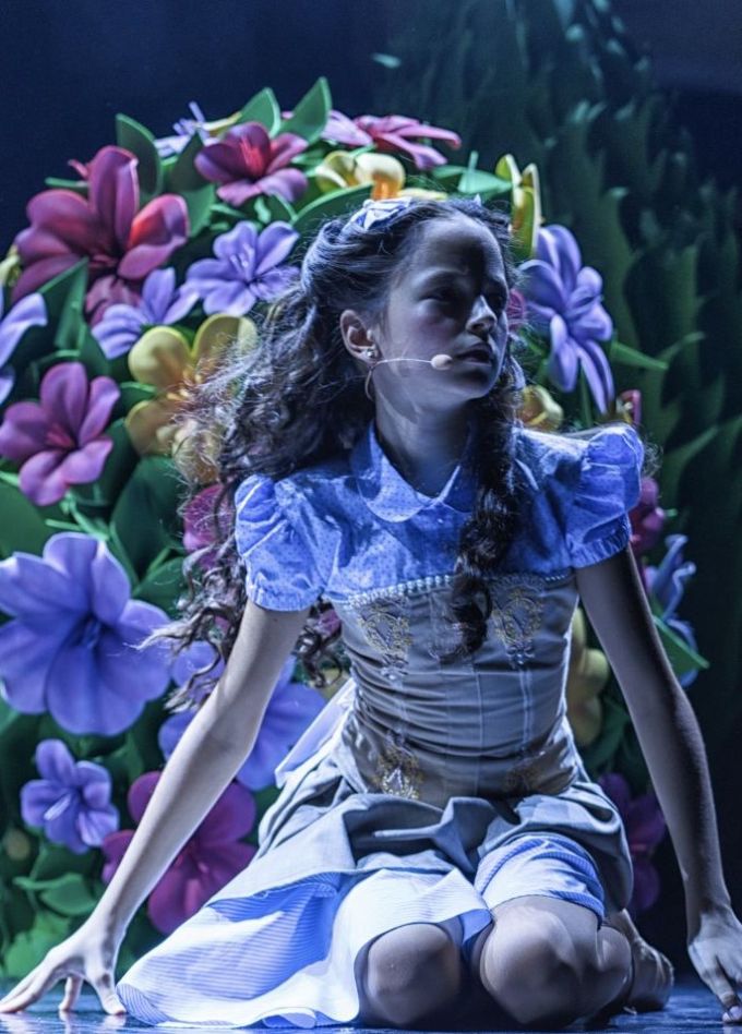 Цирковое шоу «Изумрудный город»