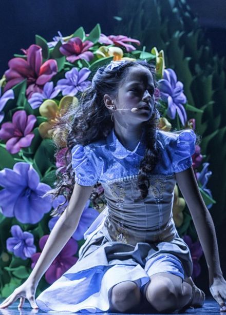 Цирковое шоу «Изумрудный город»