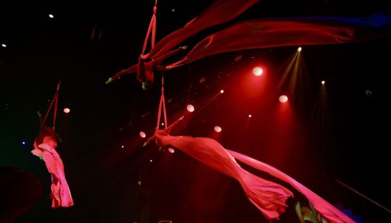 Цирковое шоу «Изумрудный город»