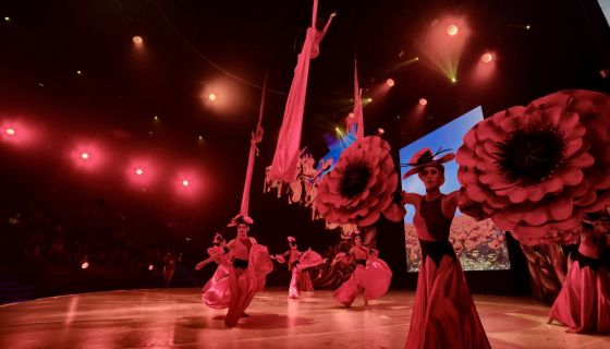 Цирковое шоу «Изумрудный город»