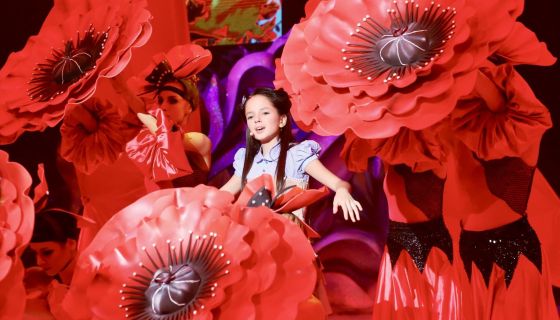 Цирковое шоу «Изумрудный город»