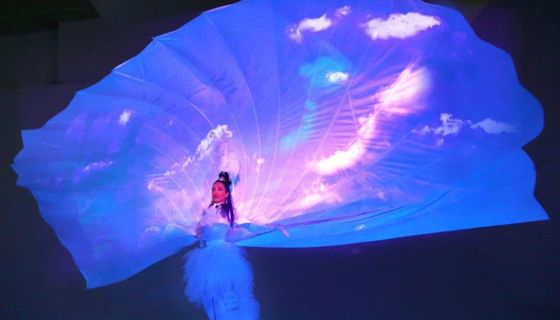 Цирковое шоу «Тайна зеркальных иллюзий»