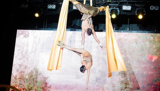 Цирковое шоу «Чиполлино»