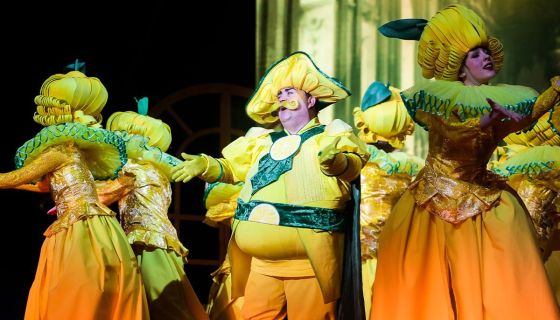 Цирковое шоу «Чиполлино»