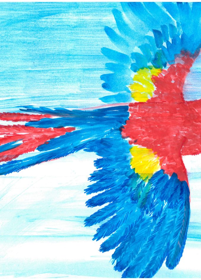 Рисуем животных