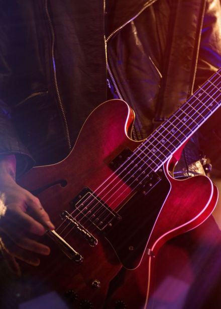 The Boneshakers. Chuck Berry Tribute Night