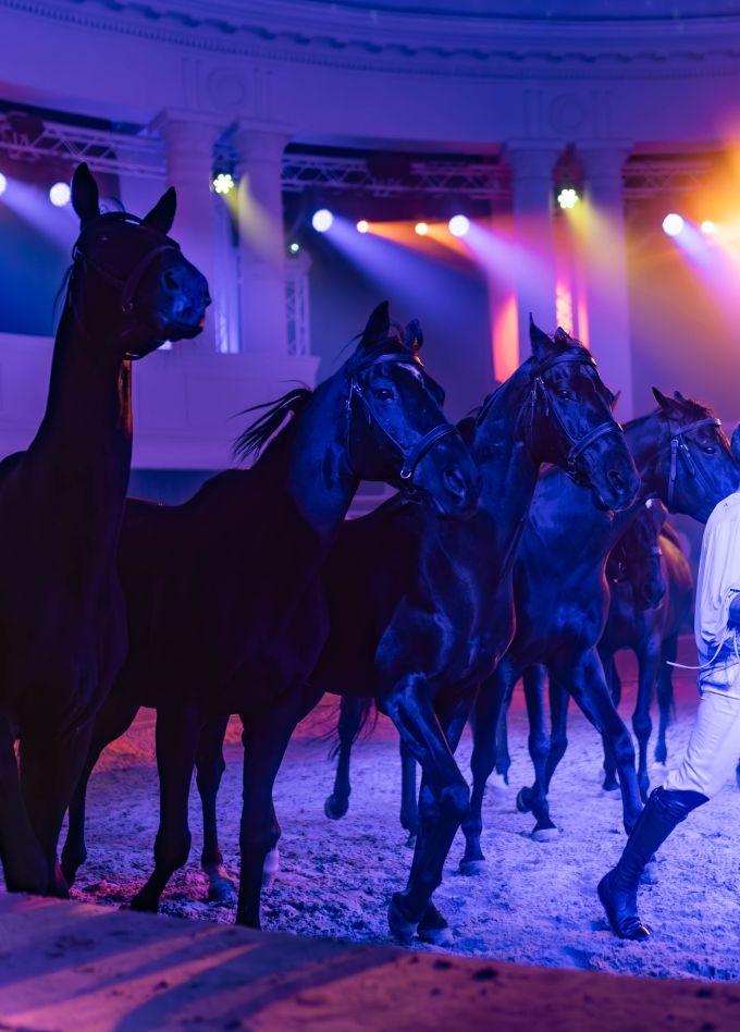 Мир на двоих