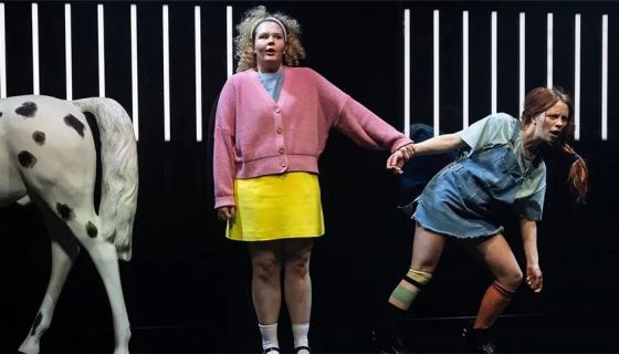 Спектакль «Здравствуйте, Астрид!»