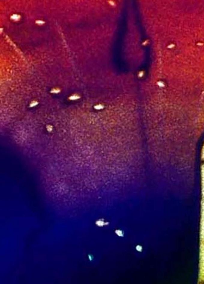 Музыкальная сказка с песочной анимацией. Маленький принц