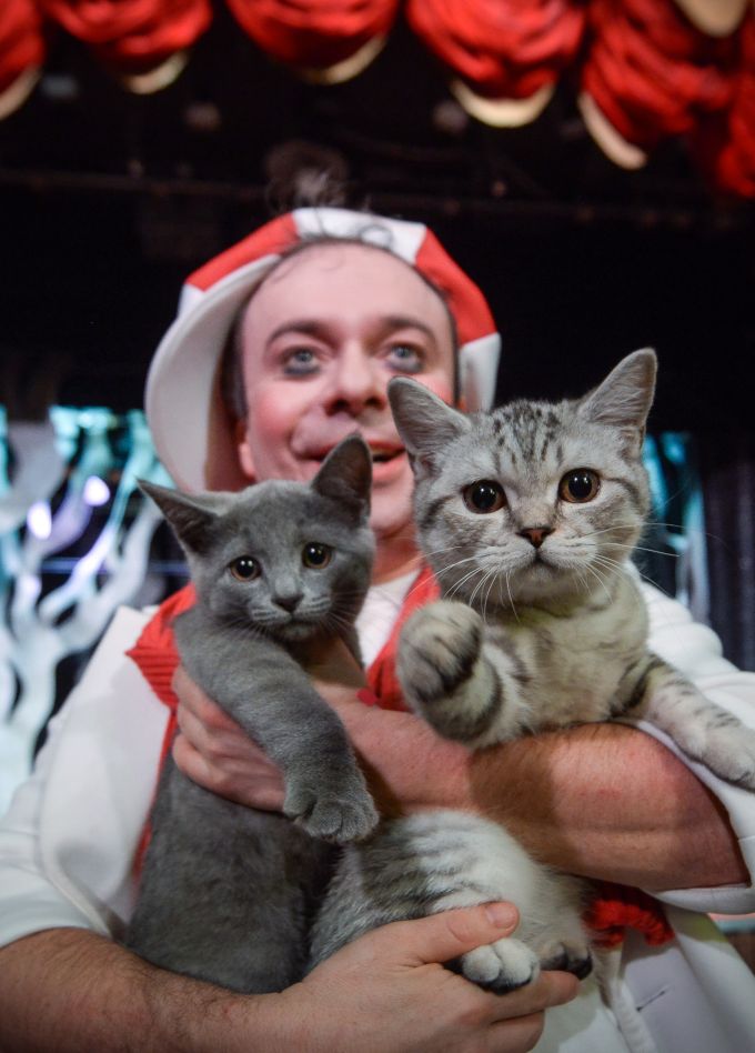 Котобум. Дмитрий Куклачёв