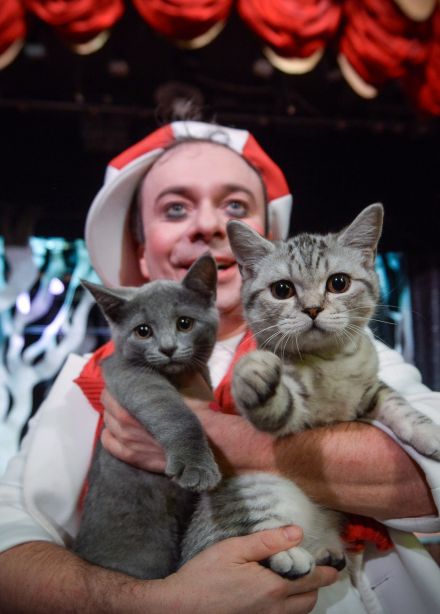 Котобум. Дмитрий Куклачёв