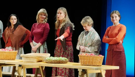 Спектакль «Пролётный гусь»