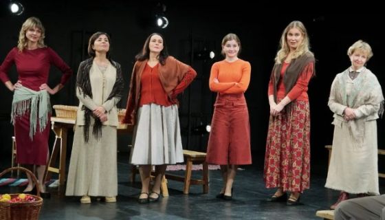 Спектакль «Пролётный гусь»