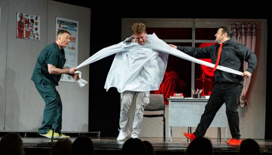 Спектакль «Доктор знает всё»