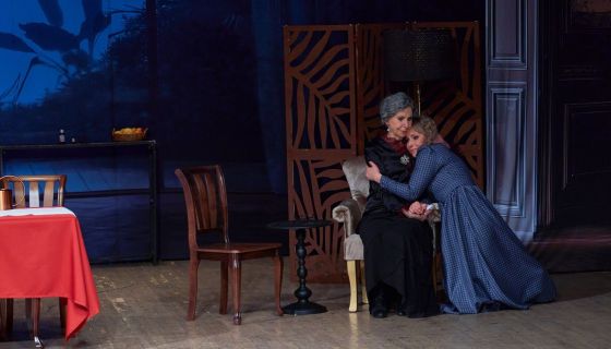 Спектакль «Деревья умирают стоя»