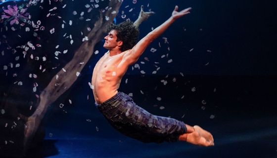 Балет «Мистерия»