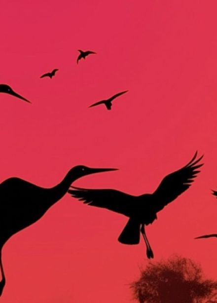 Концерт «Проект Ностальгия»