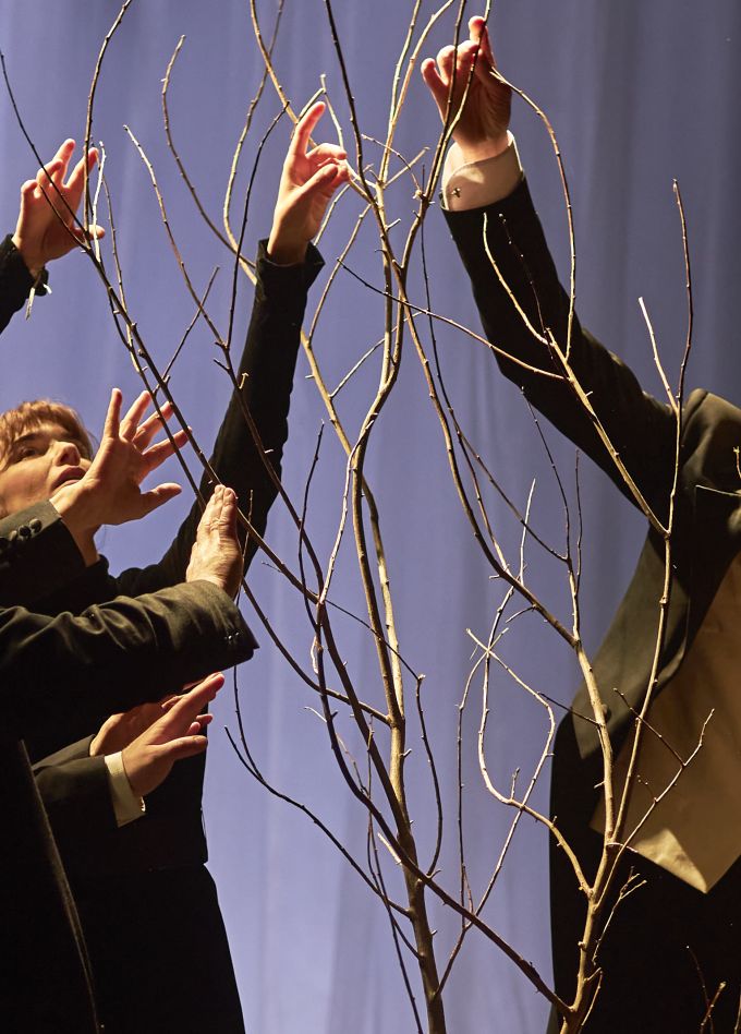 Вишнёвый сад