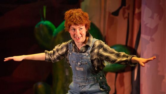 Спектакль «Вождь краснокожих»