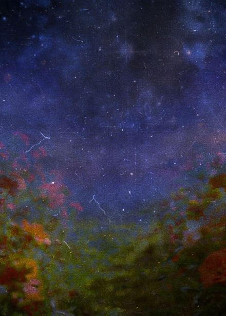 Фестиваль сновидений