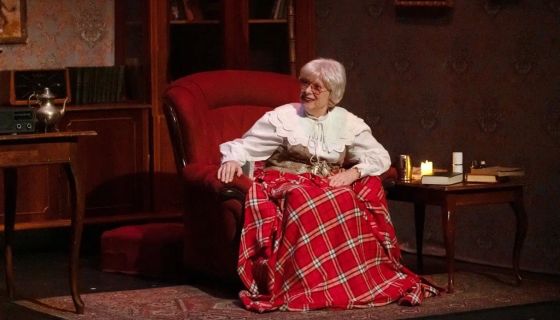 Спектакль «Джентльмен на вечер»