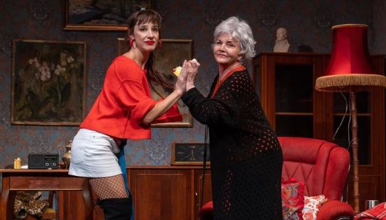 Спектакль «Джентльмен на вечер»