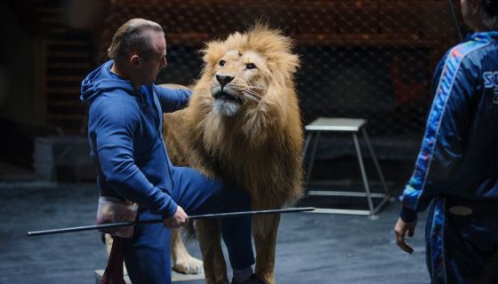 Цирк. Открытая репетиция