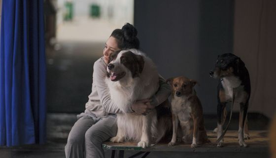 Цирк. Открытая репетиция