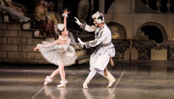 Балет «Спящая красавица»