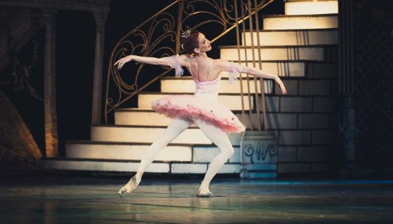 Балет «Спящая красавица»