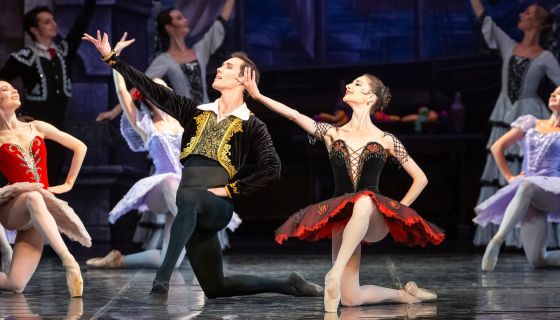 Балет «Дон Кихот»