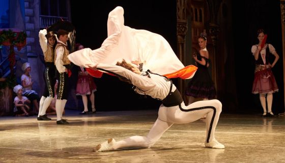 Балет «Дон Кихот»