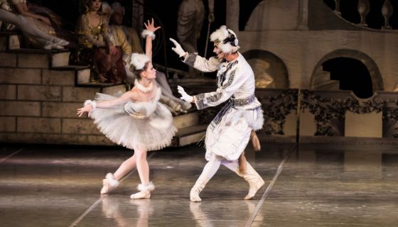 Балет «Спящая красавица»