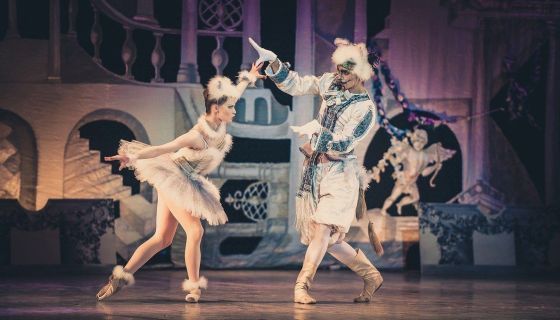 Балет «Спящая красавица»