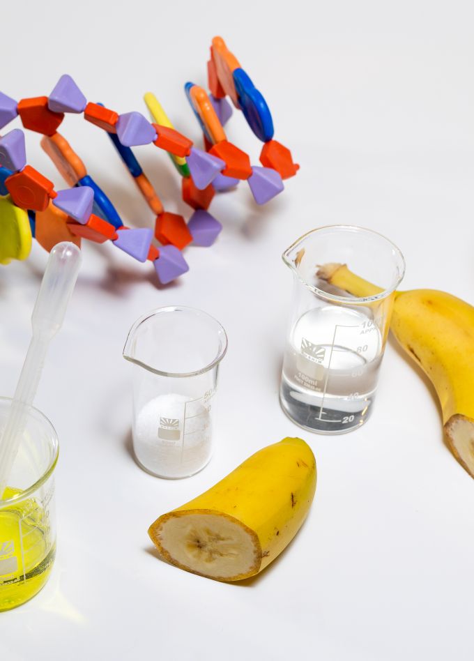 Что такое ДНК?