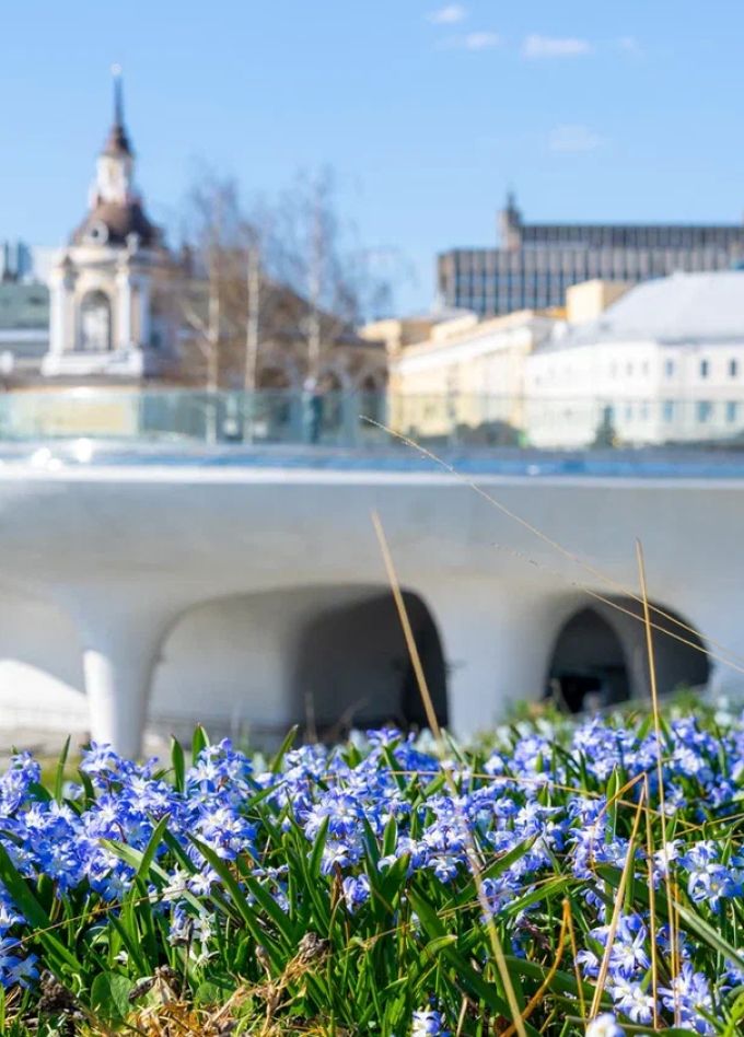 Обзорная экскурсия по парку «Зарядье»