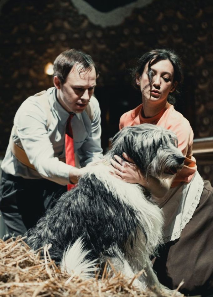 Спектакль «Собачье сердце»