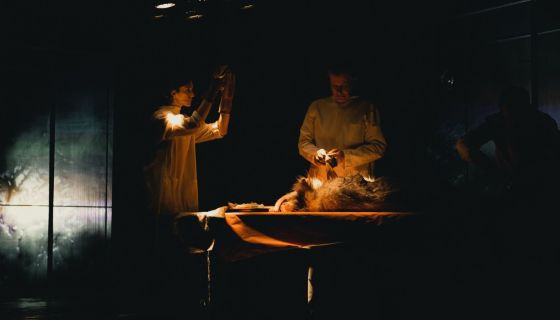 Спектакль «Собачье сердце»