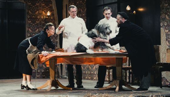 Спектакль «Собачье сердце»