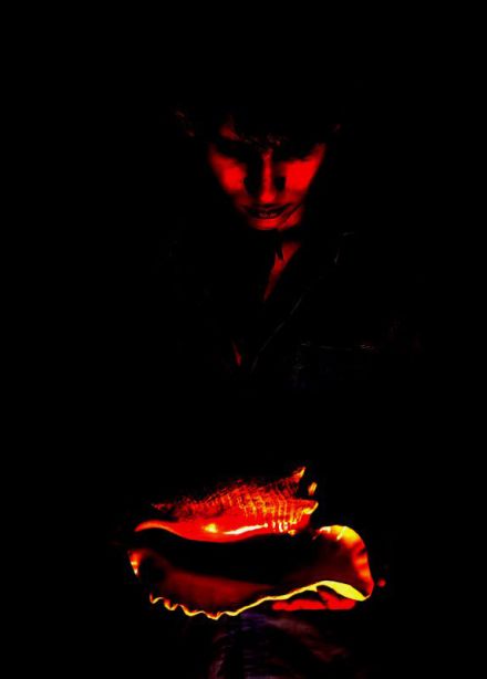 Повелитель мух