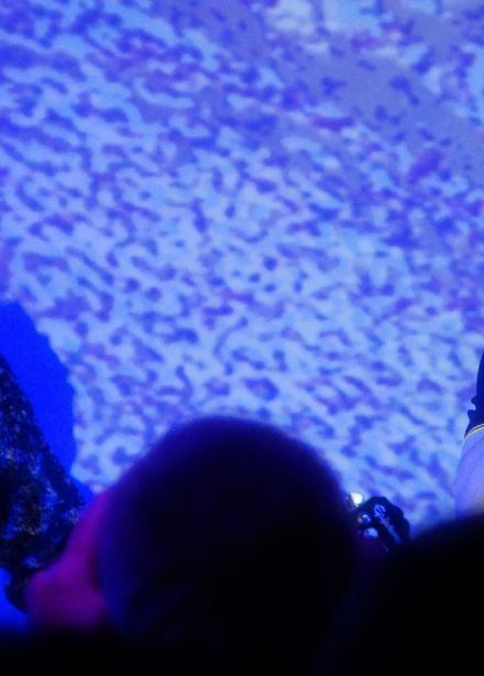 Капитан ненавидит море. Запад-81. Вещивкартоннойкоробке