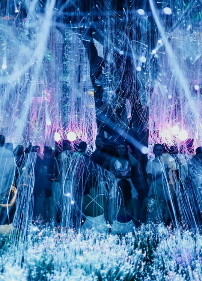 Evolution: Prime Era