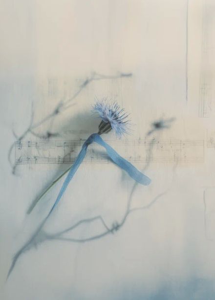 Посещение Старого Английского двора