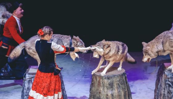 Цирковой спектакль «Необыкновенное путешествие»
