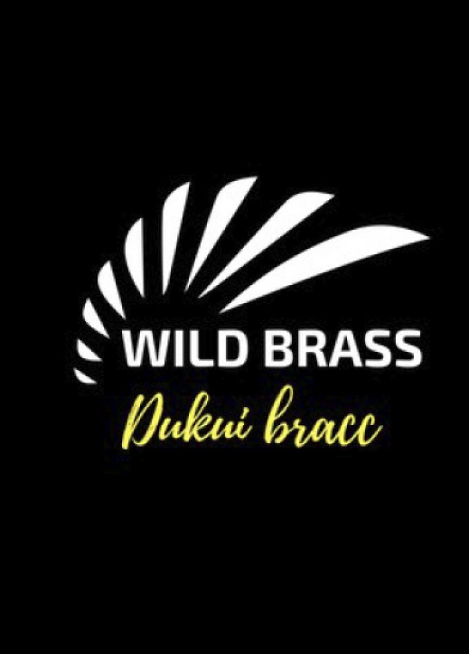 Wild Brass / Дикий Брасс