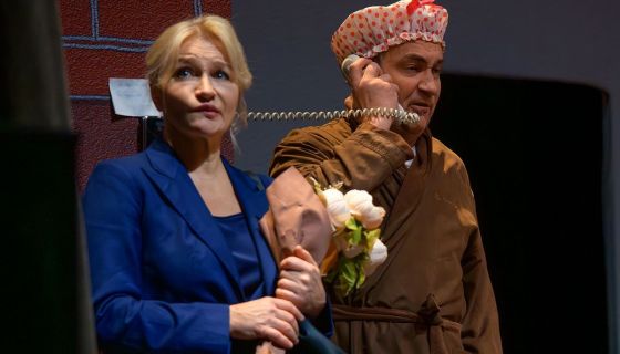 Спектакль «У каждого свои недостатки»