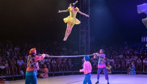 Цирковое шоу «Алиса»
