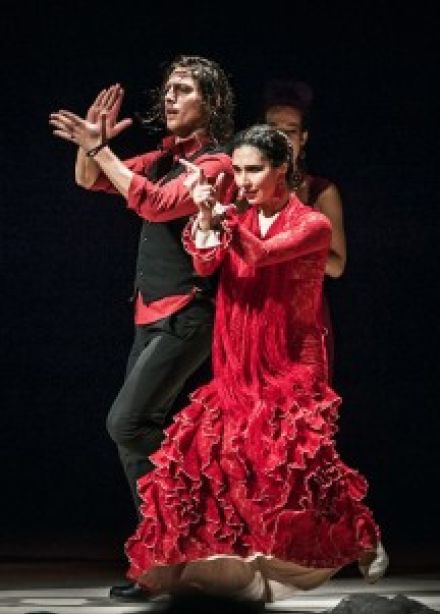 Шоу «Flamenco Barocco Capriccios»